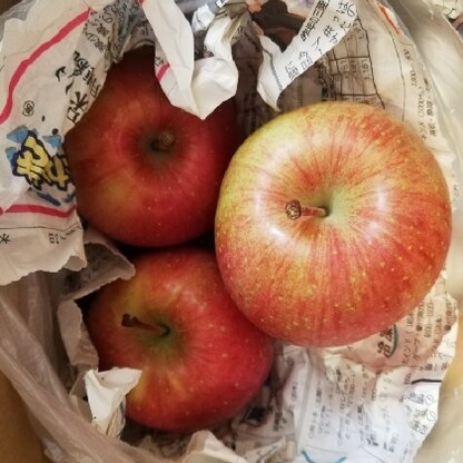 こんにちは♪
林檎を沢山いただいたので、保存方法助かりました。ありがとうございます(*´˘` )